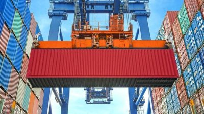 DÜZCE’NİN ORMAN ÜRÜNLERİ ÜRETİMİ VE İHRACATININ ARTTIRILMASI İÇİN ÇALIŞMALAR SÜRÜRKEN