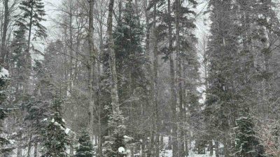 DÜZCE'NİN YÜKSEK KESİMLERİNDE KAR YAĞIŞI ETKİSİNİ GÖSTERİYOR.