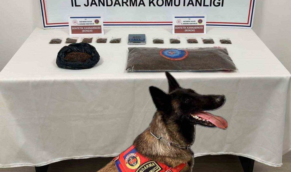 KASTAMONU İL JANDARMA KOMUTANLIĞI