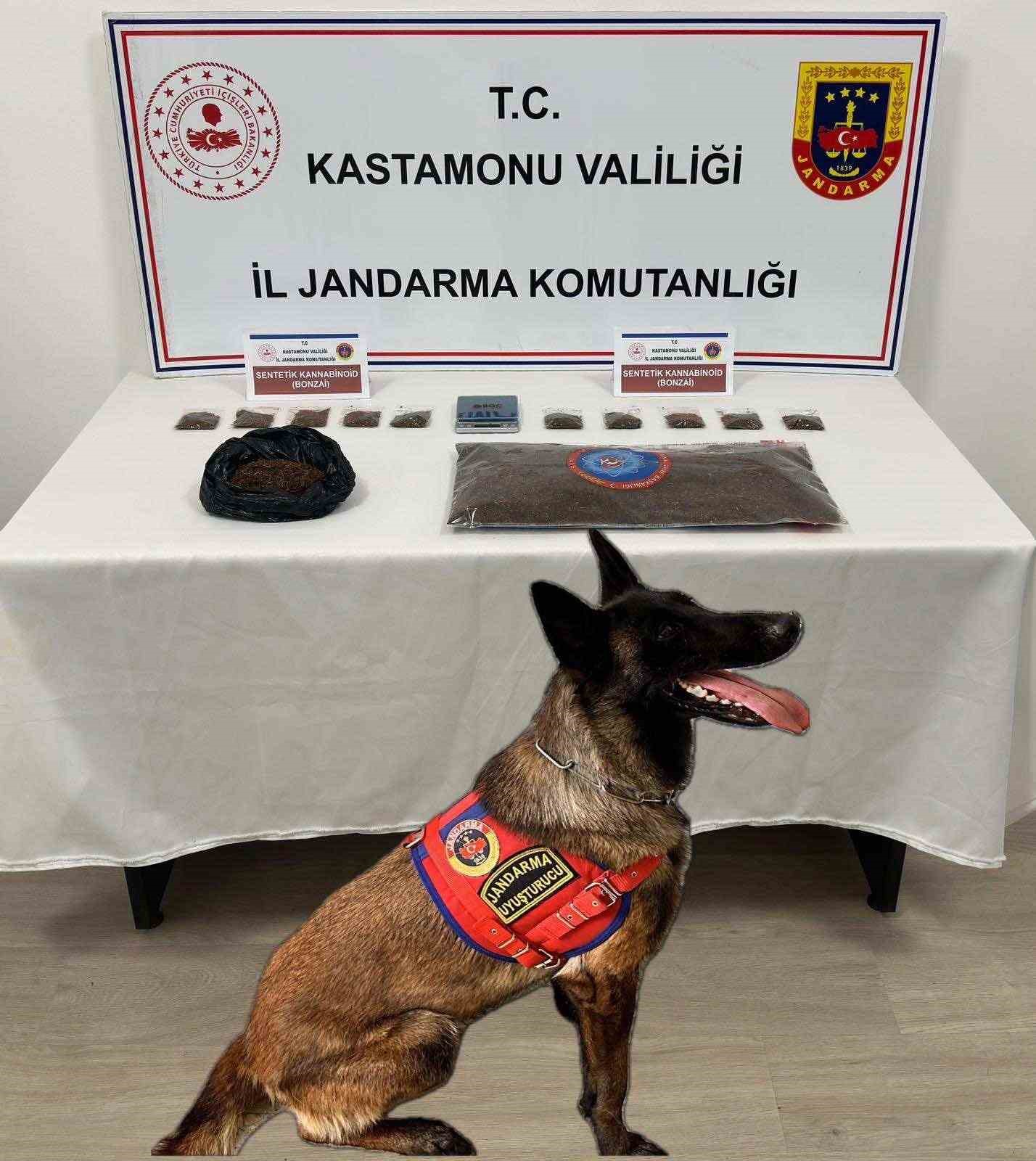 KASTAMONU İL JANDARMA KOMUTANLIĞI EKİPLERİNE TOSYA’DA 2 KİLOGRAM SENTETİK KANNABİNOİD