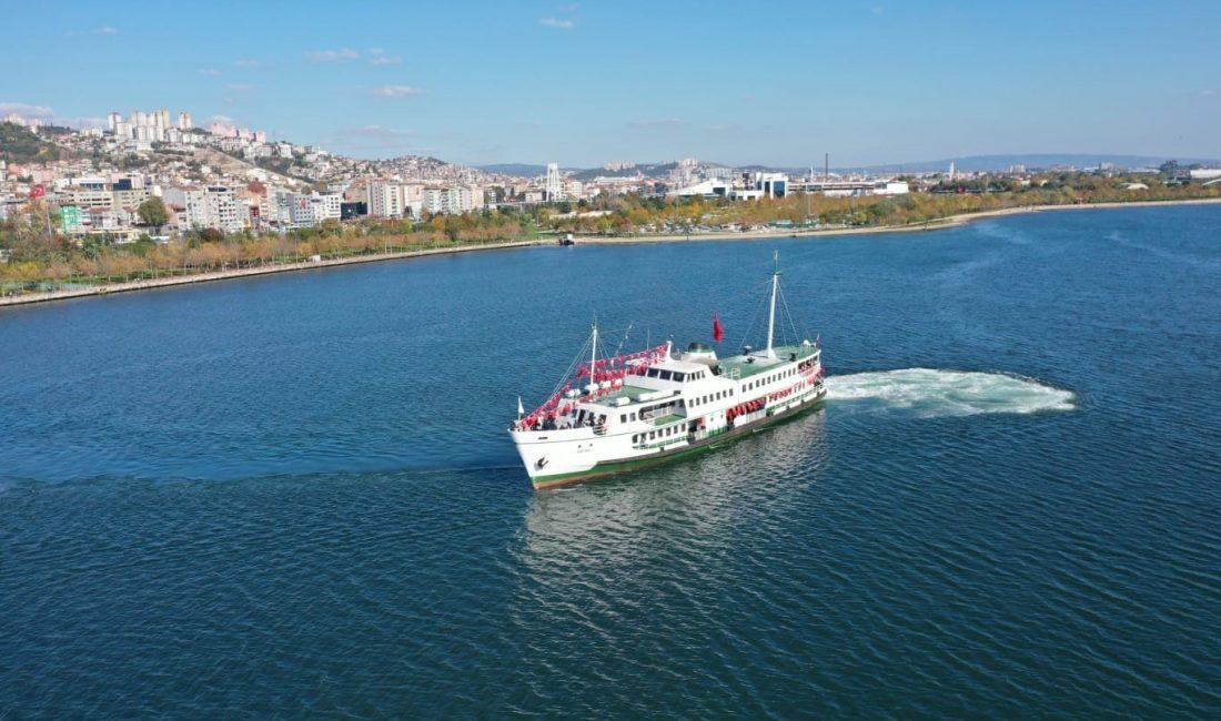 KOCAELİ'DE BU YIL 551