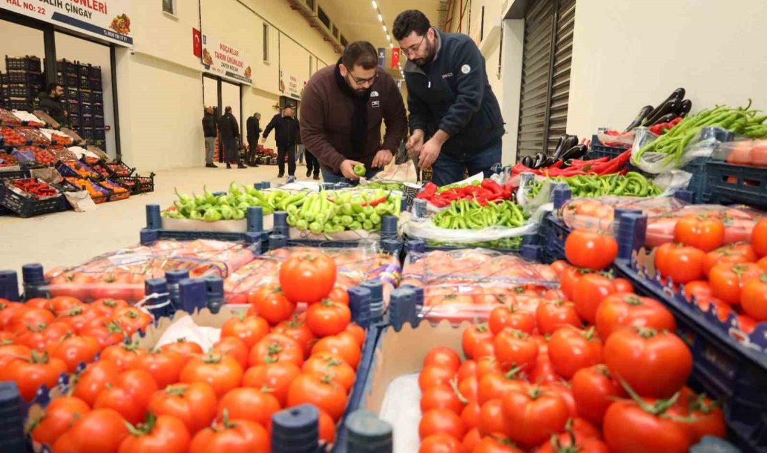 KOCAELİ'NİN ÇAYIROVA İLÇESİNE GÜNÜMÜZ