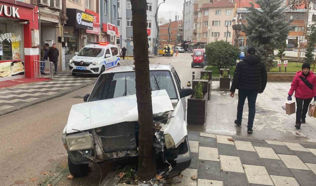 BOLU’DA ÖNÜNE ÇIKAN KÖPEĞE