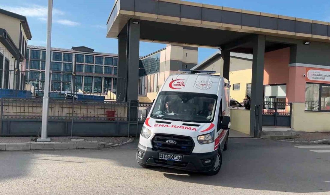 KOCAELİ'NİN GEBZE İLÇESİNDE BULUNAN