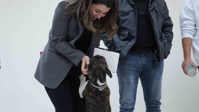 DÜZCE BELEDİYESİ, SOKAK HAYVANLARININ SAĞLIKLI BAKIMINI TESİS ETMEK İÇİN ÇALIŞMALARINI