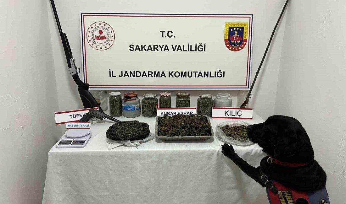 SAKARYA’NIN AKYAZI İLÇESİNDE JANDARMA