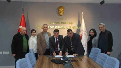 YALOVA KIVIRCIĞI KOYUN IRKININ HALK ELİNDE ISLAH PROJESİ'NİN YENİ DÖNEM