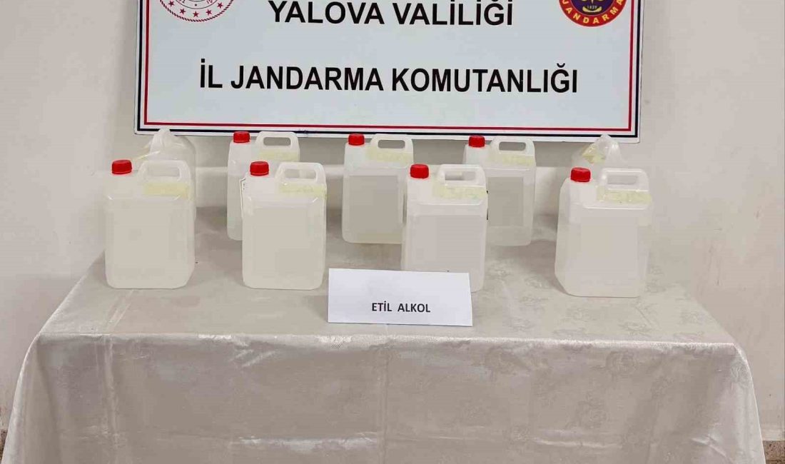 YALOVA'DA BİR KARGO FİRMASINDA