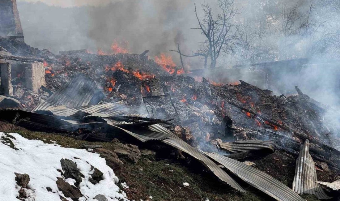 Kastamonu’nun Taşköprü ilçesinde çıkan yangında 2 ev ve 4 ahır
