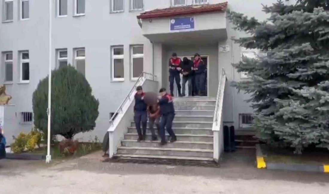 Sakarya’nın Karapürçek ve Akyazı ilçelerinde yaklaşık iki hafta önce 14