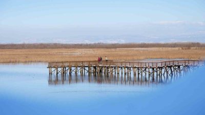DÜZCE (İHA) – Düzce’nin Gölyaka ilçesinde bulunan Efteni Gölü, doğal