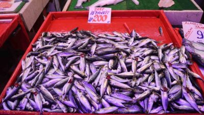 Sakarya’da hava şartları sebebiyle balıkçılar denize açılamayınca geçen hafta hamsiyi