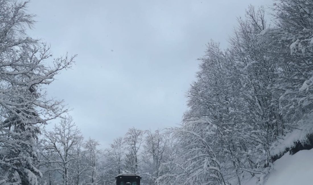 Kastamonu’da etkili olan kar yağışı sebebiyle 5 ilçede taşımalı eğitime