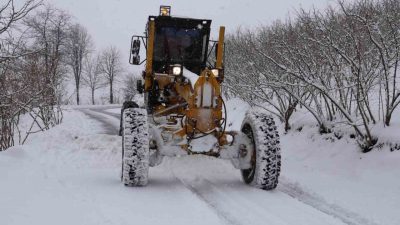 DÜZCE(İHA) – Düzce’de etkili olan Altay Kar Fırtınası etkili oluyor.