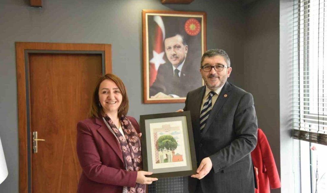 Bilecik Şeyh Edebali Üniversitesi Rektörü Prof. Dr. Zafer Asım Kaplancıklı,