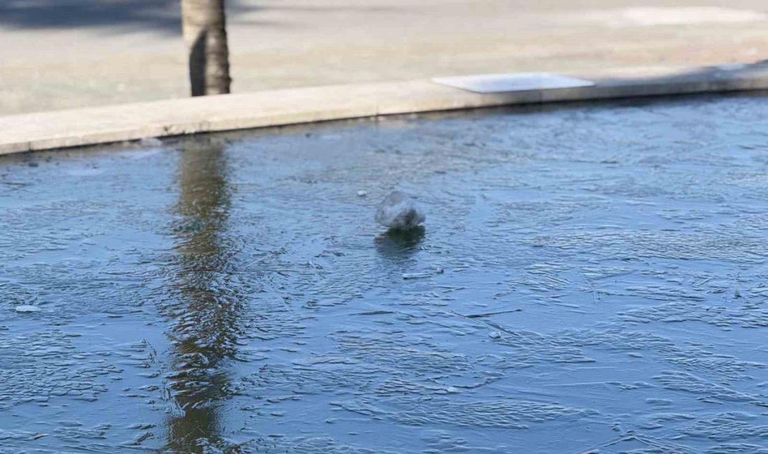 Sakarya buz kesti, su birikintileri ve süs havuzları dondu Sakarya’da etkili olan soğuk hava nedeniyle su birikintileri, araçların üstü