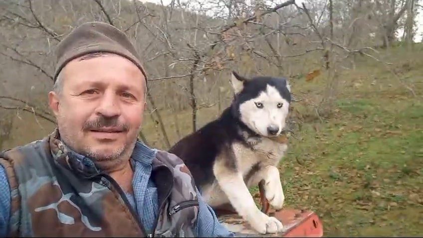 Sakarya’nın Karasu ilçesinde sibirya kurdunun karda traktör kullandığı anlar cep