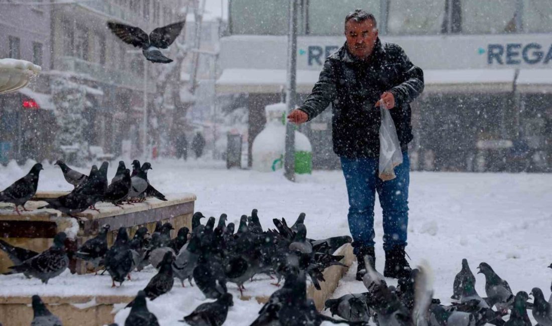 Sakarya’nın Kocaali ilçesinde kıraathane işletmecisi, yoğun kar yağışı sebebiyle yiyecek
