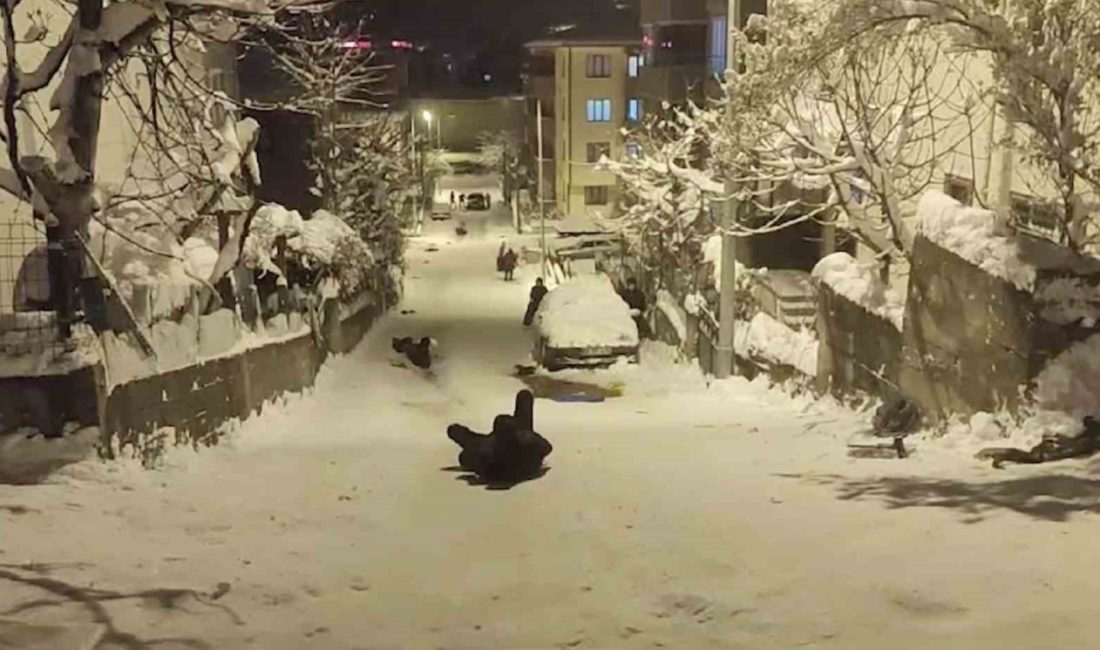Kastamonu’nun Cide ilçesinde sokağı kayak pistine çeviren çocuklar, poşet, tepsi
