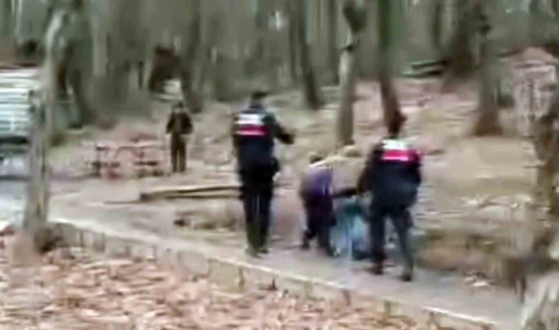 Sakarya’nın Akyazı ilçesinde tabiat parkı içindeki piknik masasından su sayacına