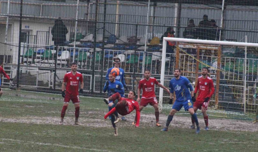 TFF 2. Lig Kırmızı Grup 22. haftasında Belediye Derincespor evinde