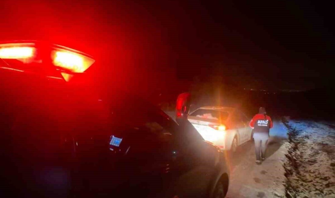 Yalova’da etkili olan kar yağışı nedeniyle kayganlaşan yolda çarpışan iki