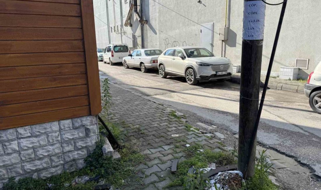 Sakarya’nın Adapazarı ilçesinde yerlere çöp atanlara kızan bir kişi, sokaktaki