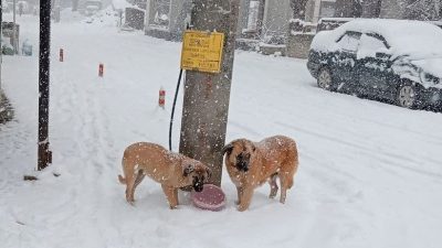 DÜZCE(İHA) – Düzce’yi etkisi altına alan kar yağışında Çilimli Belediyesi