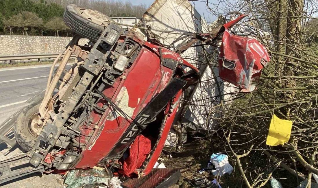 Kocaeli’nin Kartepe ilçesinde kontrolden çıkan kamyonet ağaçları devirerek yol kenarına