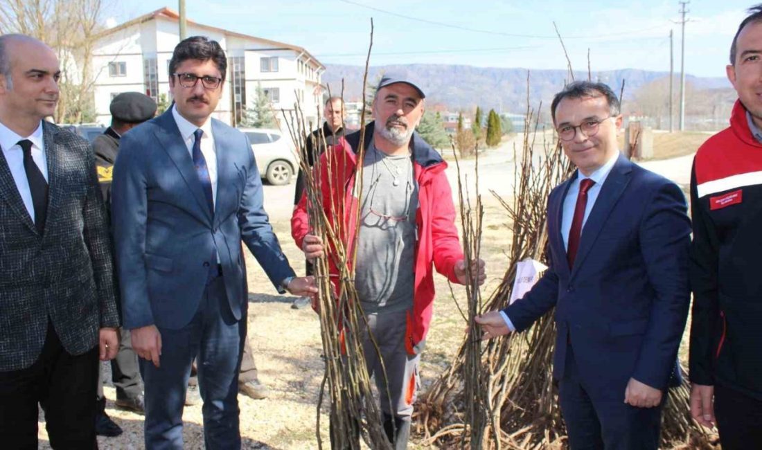 Bolu’da geleceğin fidanları yeşermeye devam edecek Bolu’nun Seben ilçesinde, ilçeye özgü Kızık armudu fidanları, çiftçilere dağıtıldı.