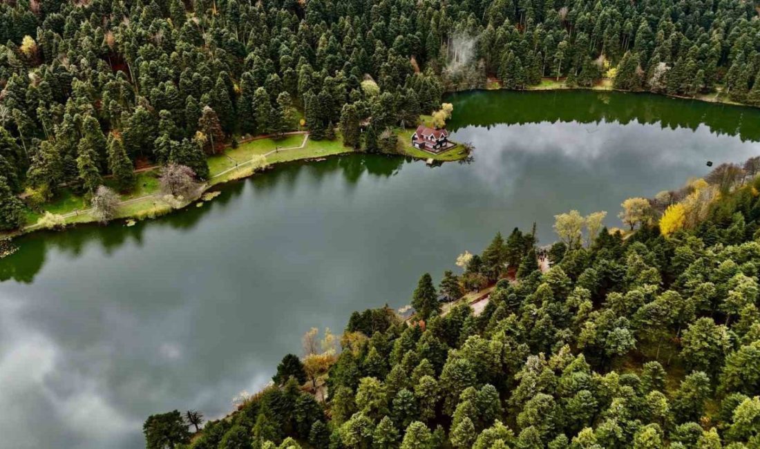 Bolu’daki tabiat ve milli parkları korumak için çeşitli yasaklar getirildi.