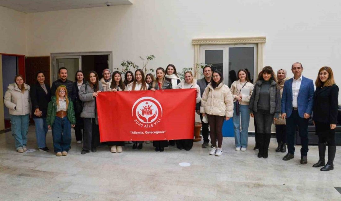 Bilecik Şeyh Edebali Üniversitesi (BŞEÜ), Sağlık Bilimleri Fakültesi Sosyal Hizmet