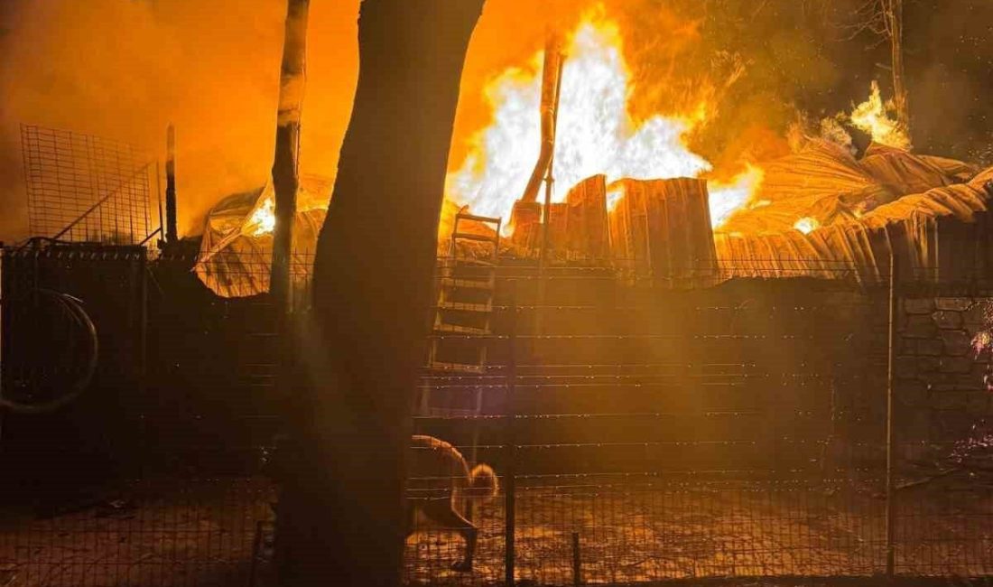 Bungalovda çıkan yangın geceyi aydınlattı Kocaeli’nin Gebze ilçesinde alev alev yanan bungalov, itfaiye ekipleri tarafından