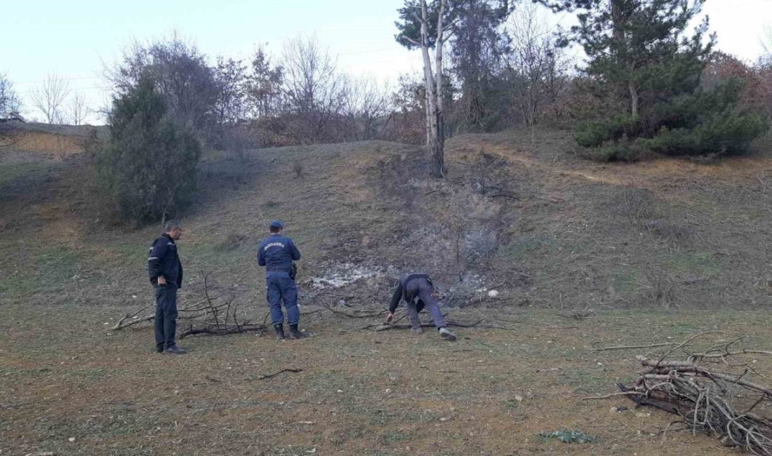 Bolu’da ormanlık alanda çıkan örtü yangını, koyunlarını arazide otlatan çoban