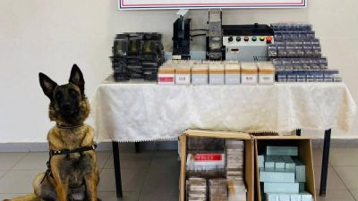 Düzce’de son 1 haftada yapılan denetimlerde 7 dinamit, 75 bin