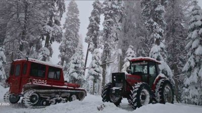 Düzce’de etkili olan soğuk hava akşam saatlerinde yerini kar yağışına
