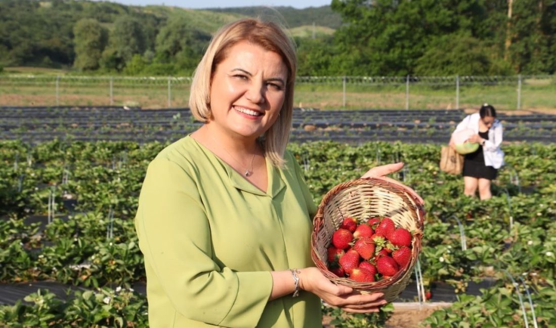 İzmit Belediye Başkanı Fatma Kaplan Hürriyet’in hem akrabası hem de