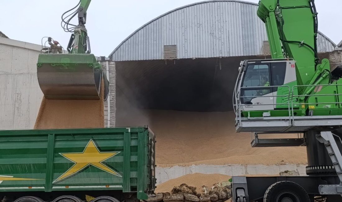 Sakarya’nın Karasu ilçesinde özel bir liman işletmesinin deposundaki duvarın yıkılması