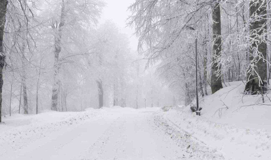 Meteorolojinin uyarılarının ardından Kocaeli’nin yüksek kesimlerinde kar yağışı etkisini sürdürüyor.