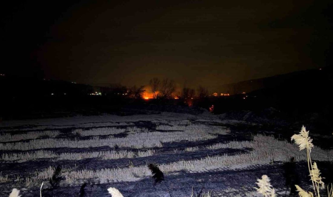 Kastamonu’nun Tosya ilçesinde çıkan yangında yaklaşık 150 dönüm tarım arazisi