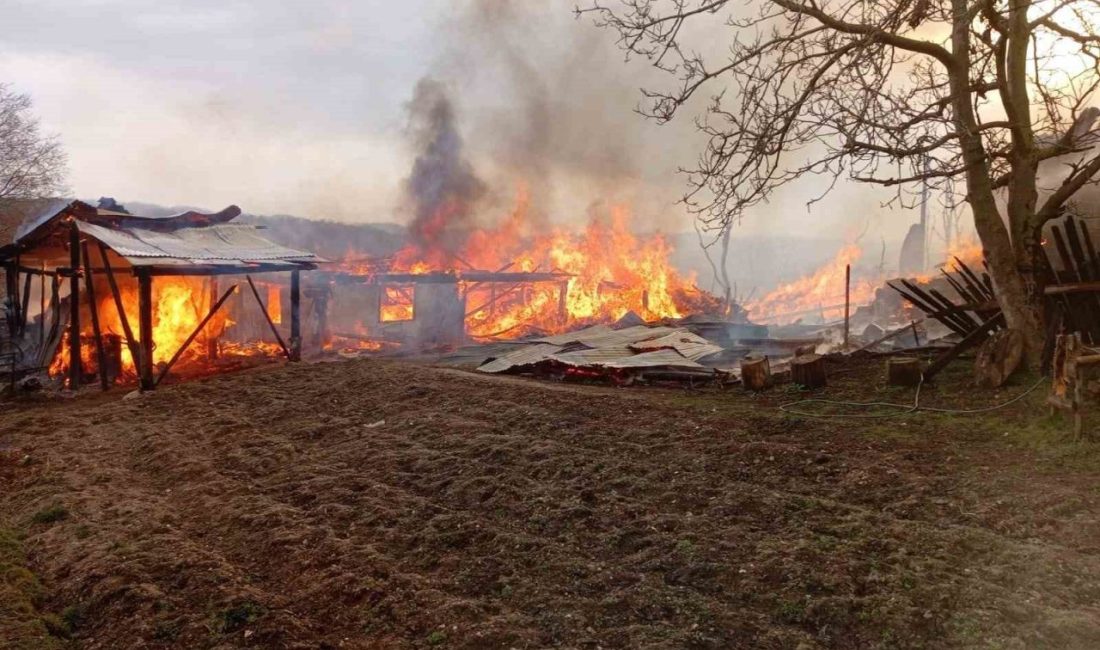 Kastamonu’nun Taşköprü ilçesinde çıkan yangında ilk belirlemere göre 4 ev