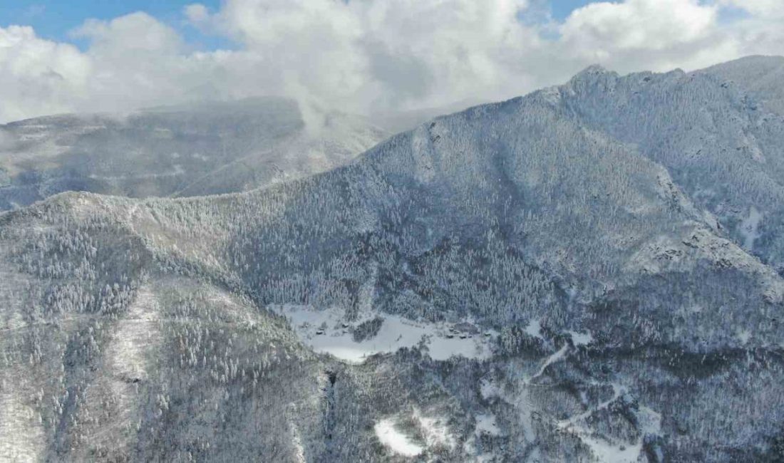 Kastamonu’daki Yaralıgöz Dağı’nın eteklerinde kalınlığı yer yer 1,5 metreyi bulan
