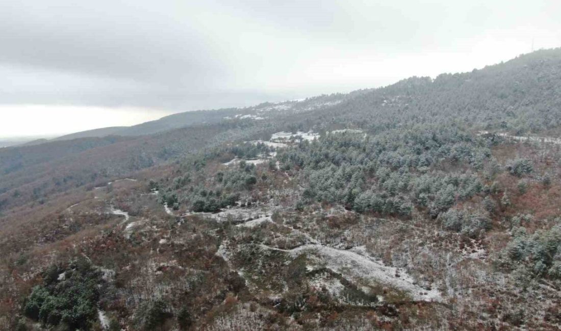 Kastamonu’da sonbahar ve kış mevsiminin aynı karede yer aldığı ormanlar,