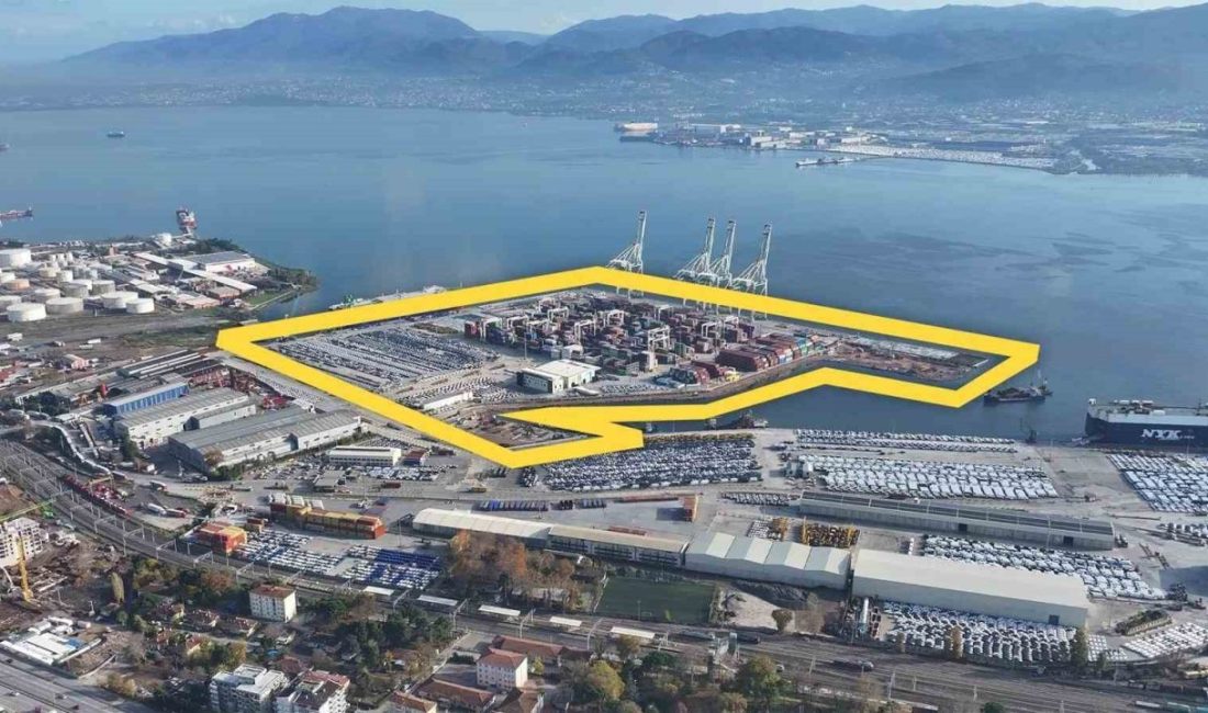 Kocaeli’nin Derince ilçesinde Safiport’a ait liman sahasında 6 adet ruhsatsız