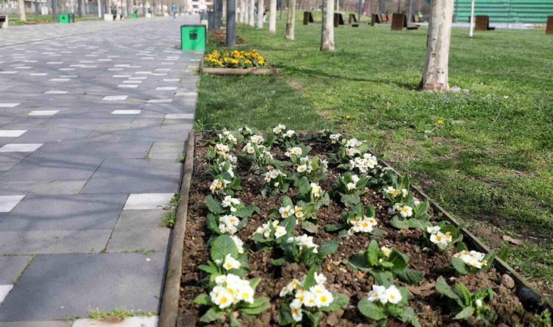Millet Bahçesi yaz sezonuna hazırlanıyor Sakarya Büyükşehir Belediyesi “Bu Şehir Hepimizin” projesi çerçevesinde yeşil alanların