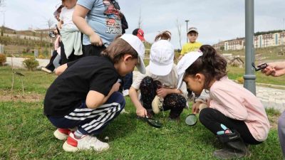 Düzce Üniversitesi Süs ve Tıbbi Bitkiler Botanik Bahçesi doğa ve