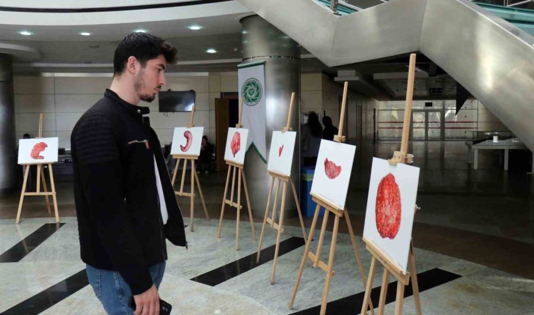 Doç. Dr. Sertaç Ata Güler, ameliyat ettiği hastalarından çıkardığı organları