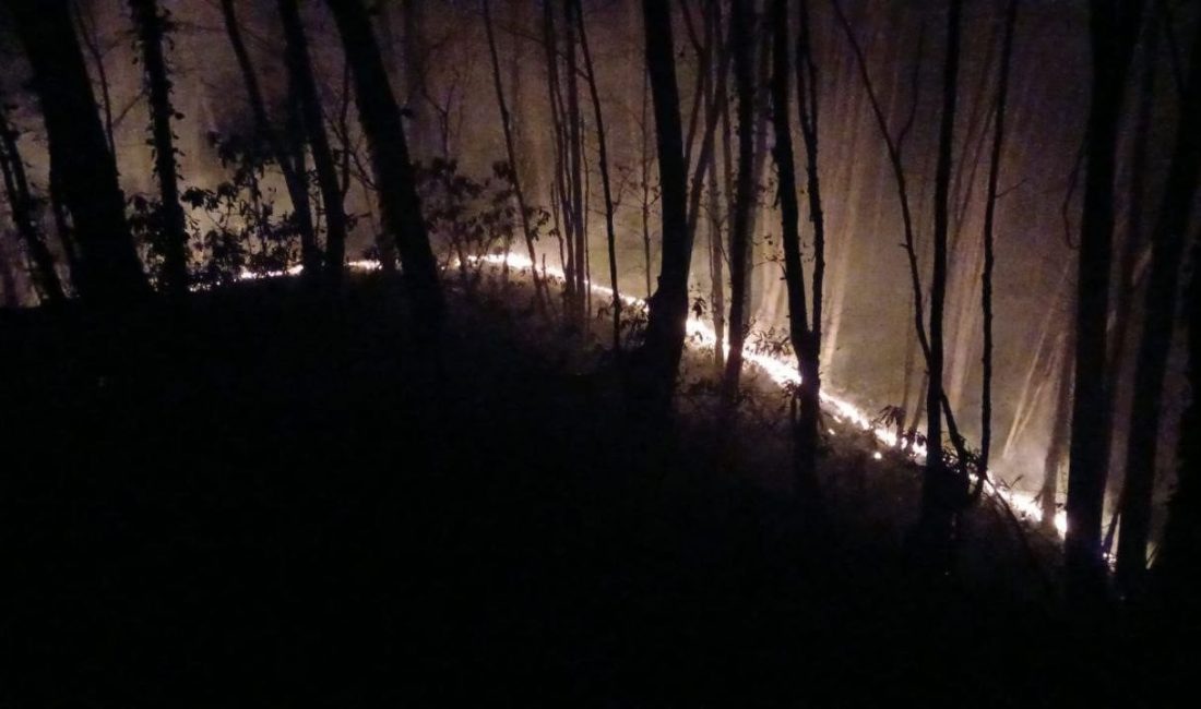 Sakarya’nın Karasu ilçesinde ormanlık alanda çıkan yangın itfaiye ve Orman