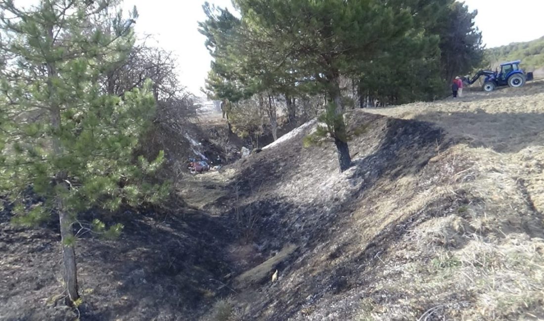 Örtü yangını ağaçlara sıçradı: Erken müdahale faciayı önledi Bolu’da kuru otların alev almasıyla çıkan örtü yangını ağaçlara sıçradı.