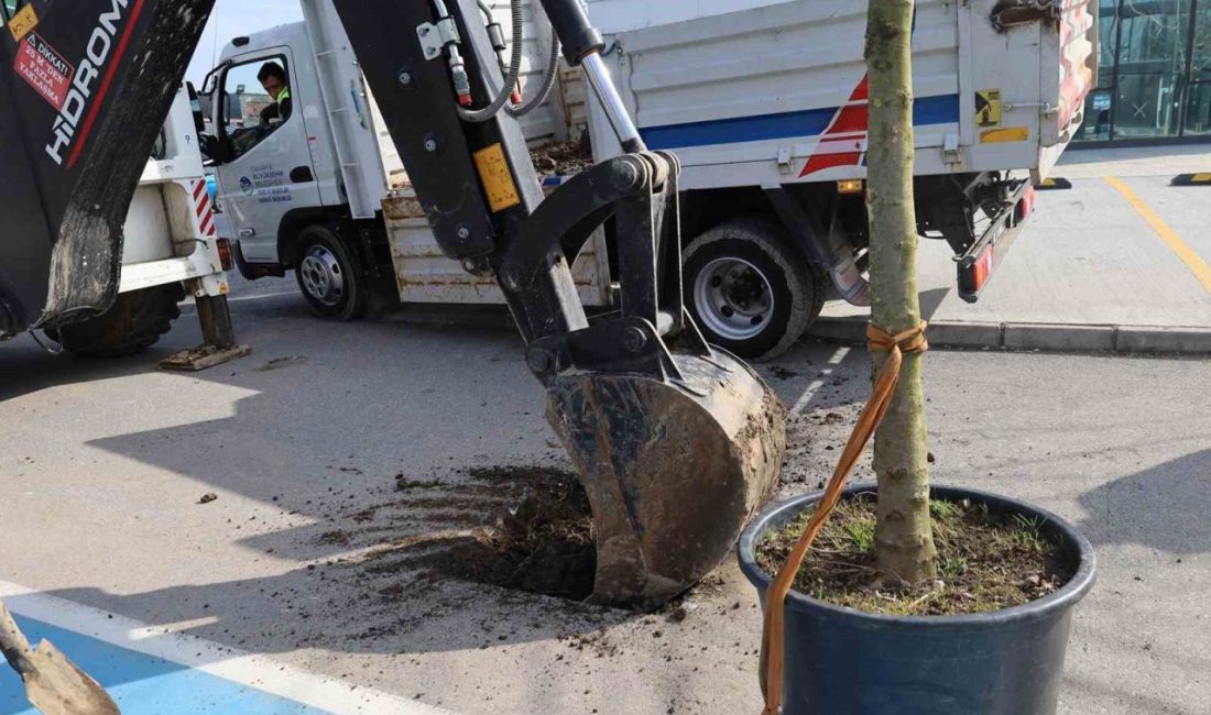 Sakarya Büyükşehir Belediyesi, “Bu Şehir Hepimizin” projesi çerçevesinde caddeler, parklar